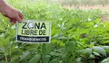 Pedimos declarar Ourense 'Zona Libre de Transxénicos'