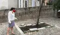 Preocupación no BNG ante os últimos incidentes en espazos públicos.