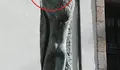 O BNG alerta da desaparición de parte da estatua de Bóveda na rúa da Barreira