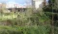 O BNG denuncia caos e descontrol no envío de notificacións a particulares para a limpeza e o desbroce de solares