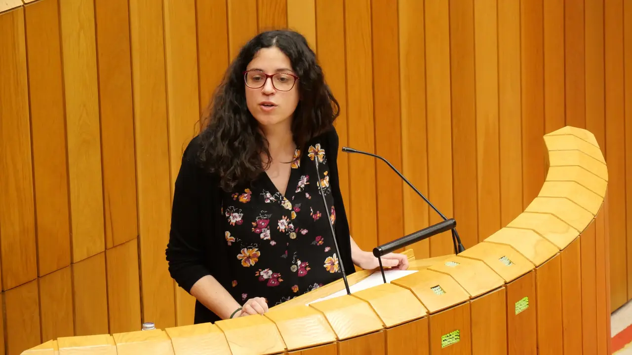NOA PRESAS, deputada do BNG por Ourense