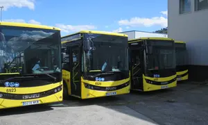 Busitos parados en Quintela