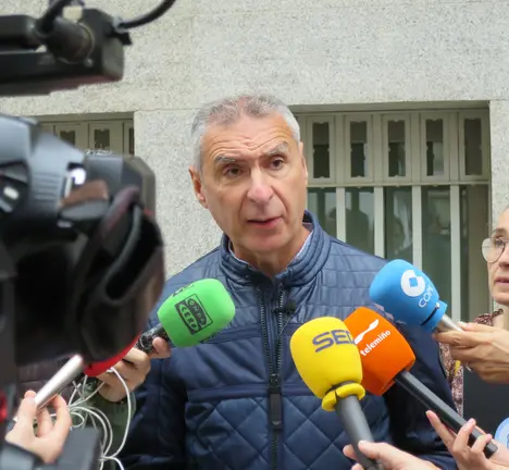 Lu&iacute;s Seara, Portavoz municipal do BNG