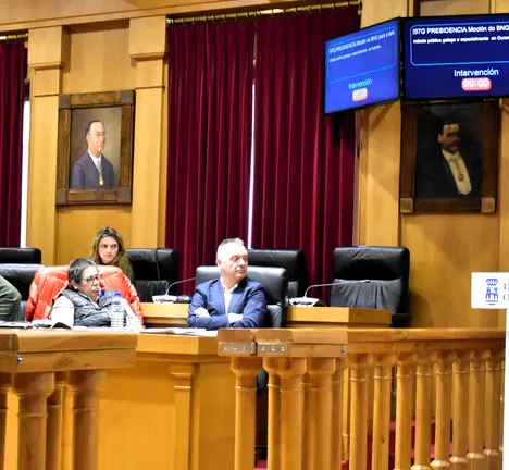 pleno xaneiro deputaci&oacute;n  intervci&oacute;n resentante plataforma pediatr&iacute;a da Limia